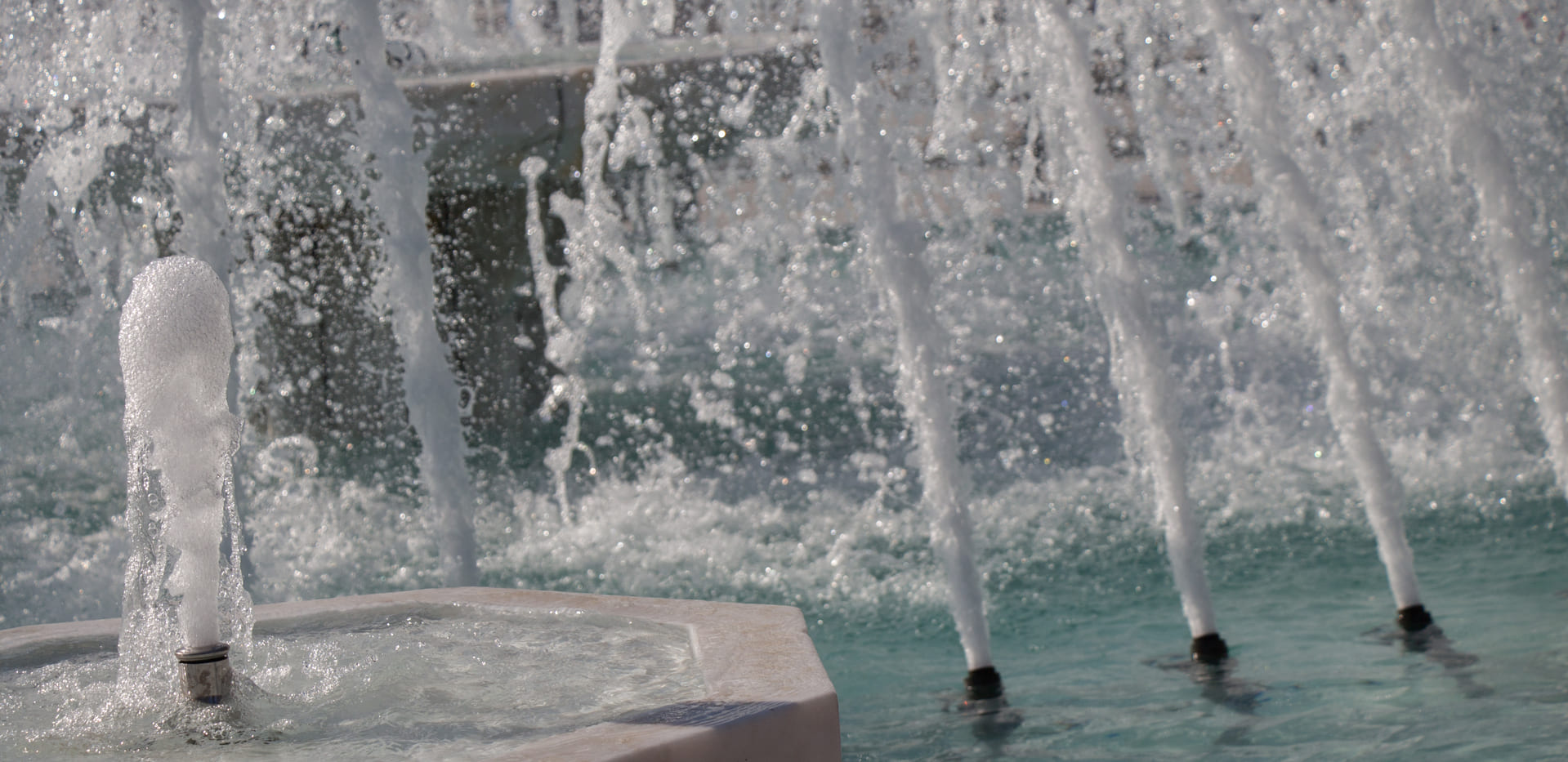 Legionella en piscinas: normativa, prevención y control